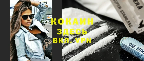 индика Елабуга