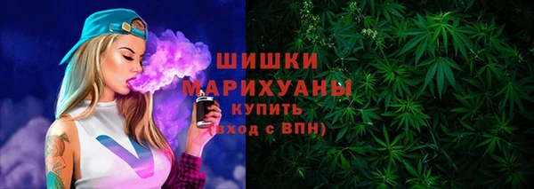 спайс Ладушкин