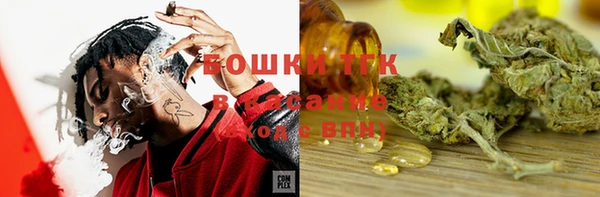 ГАЛЛЮЦИНОГЕННЫЕ ГРИБЫ Лихославль