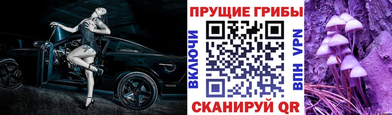 Галлюциногенные грибы ЛСД  blacksprut ССЫЛКА  Завитинск  наркота 